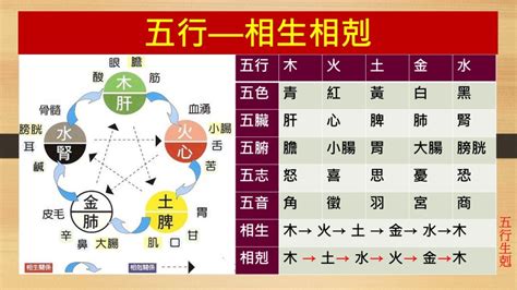 強水 強金|五行生剋(哲學理論):實質,特性,生克,劃分,物象歸類,相互關係,五行。